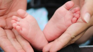 手のひらに包まれた赤ちゃんの足